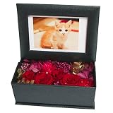 Florentia プリザーブドフラワー・バラのフォトBOXスワロフスキー付（レッド）