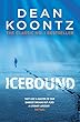 Icebound: A chilling thriller of a race against time (English Edition)