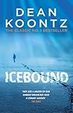 Icebound: A chilling thriller of a race against time (English Edition)