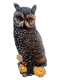 Michael Carr Designs MCD507013B Owl Medium
