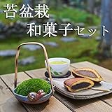 いよじ園 【】 山苔盆栽 里山の仲間 和菓子セット （コケ盆栽 こけ盆栽 ミニ盆栽）いよじ園 どら焼,せみ