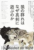 狼の群れはなぜ真剣に遊ぶのか