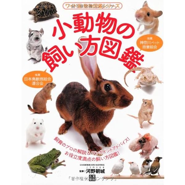 中古】 小動物の飼い方カラー図鑑 ウサギ、ハムスターから