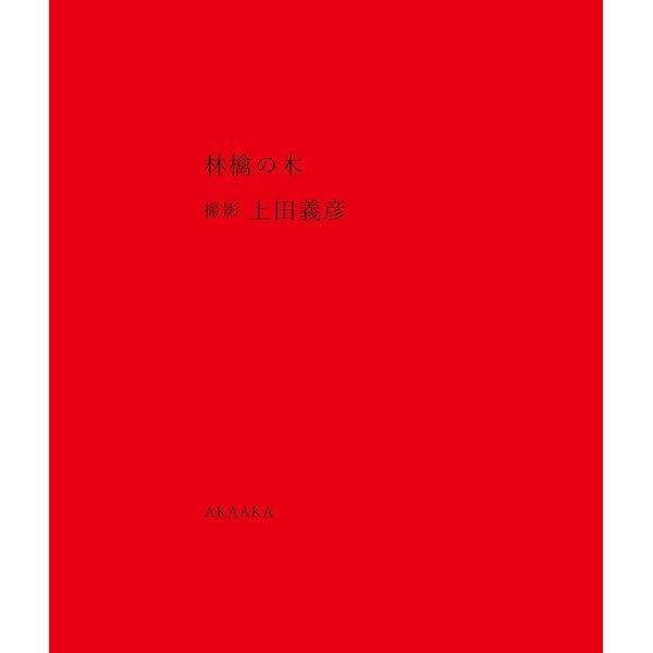 クゥィノルト: 上田義彦写真集 | 上田 義彦 |本 | 通販 | Amazon
