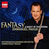 �t�@���^�W�[�`�I�y�����̖�