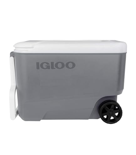 Amazon | イグルー（igloo） クーラーボックス 28.5L 保冷