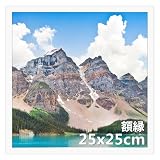 Giftgarden 額縁 正方形 25角 フォトフレーム 250x250mm PVC製 絵画 色紙 壁掛け 卓上 ホワイト 1枚