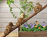 野川農園木登りリス(3種アソート)