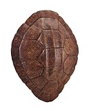 Brown Faux Sea Turtle Shell Wall Mounted Sculpture [並行輸入品]