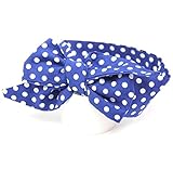 【ノーブランド 品】子供　女の子　ヘアバンド　カチューシャ　ドットパタン　かわいい　ヘアアクセサリー　ギフト　全5色 - ロイヤルブルー