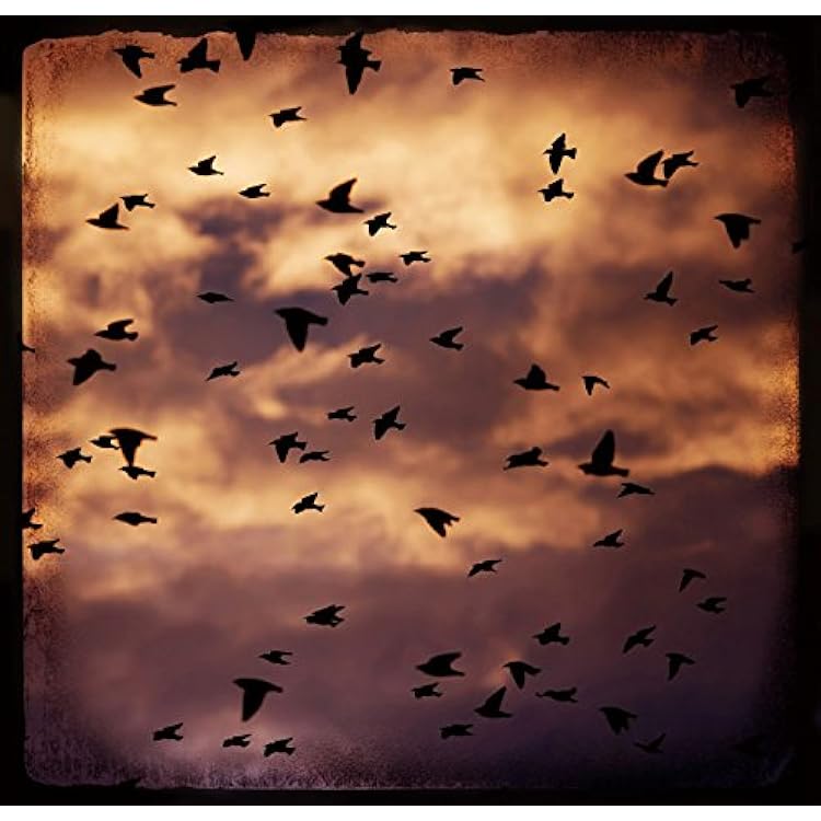 Amazon.co.jp: land of music: ミュージック