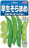 サカタのタネ 実咲野菜7472 早生そらまめ ソラマメ 00927472