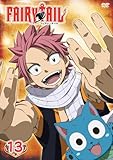 FAIRY TAIL 13