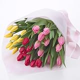 西脇農園 チューリップ 花束「厳選30本（品種おまかせ3種ミックス）」 ミックス系 日比谷花壇