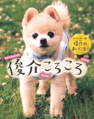 俊介ころころ~ツイッター犬 俊介のまいにち~ 俊介ころころ~ツイッター犬 俊介のまいにち~