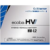 Amazon.co.jp: G&Yu バッテリー ハイブリッド車補機用 バッテリー液式