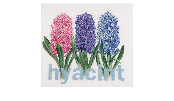 Amazon Co Jp アイーダのヒヤシンス カウント クロスステッチ キット 16 1 2 X 15 1 2 18 カウント ホビー