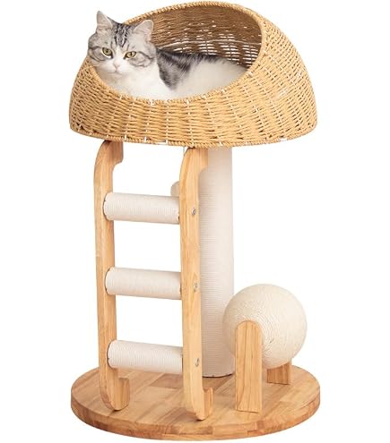 Amazon | Injollylives モダンキャットツリータワー、木製キャット