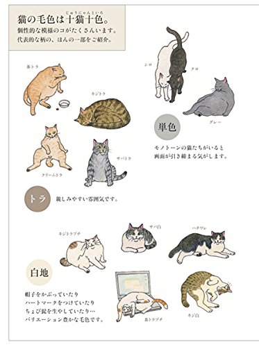 癒しの塗り絵 ねこマンダラ  東京印書館  写真集・展覧会図録・絵本 