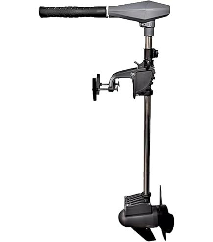 Amazon | MINNKOTA(ミンコタ) ENDURA30 C2 | Minn Kota | エレキ