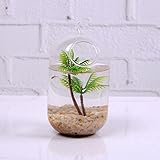 Lovoski 植物 花 装飾 花瓶 ボトル ぶら下げ クリア ガラス 壁 水耕栽培 プレゼント 雑貨 飾り 結婚式 容器