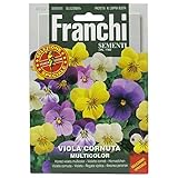花の種 ビオラ MULTICOLOR 355/1