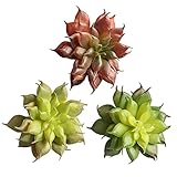 KICODE Land Lotus Rare 植物人工植物 人工フェイク DIY Wreathクラフト Unpotted 3pcs