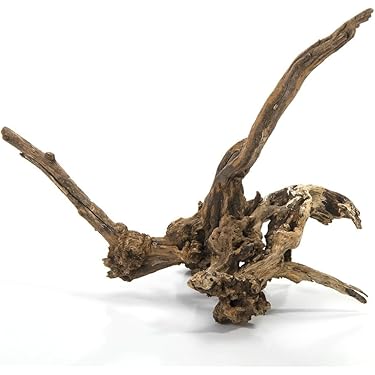 ⭐️水槽用流木セット 水槽用流木セット