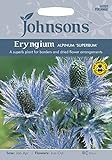 JOFL 英国ジョンソンシード Eryngium alpinum superbum エリンジューム・アルピナム・スペルバム
