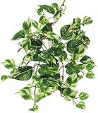 ポピー 造花の観葉植物 ポトスブッシュM GL-5046