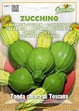 【輸入種子】 HORTUS ZUCCHETTA Tonda chiara di Toscana ズッキーニ・トスカーナ ホルタス社