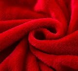 （チウタ）CHIUTA ひざ掛け マイクロファイバー ブランケット 毛布 100×70cm (赤)
