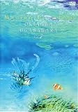 Marine Paradise Vol.7 �`����/���}���ҁ`