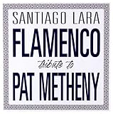 FLAMENCO TRIBUTE TO PA