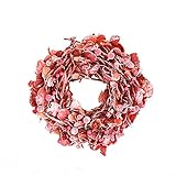 彩か SAIKA リース M 赤 レッド インテリア用 玄関飾り ファニー CXQ-702r Leaf & Berry Wreath Red