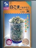 白ゴマ（セサミ）　中原採種場のスプラウト用のゴマ種子です