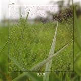 蟲の響　mushi-no-ne