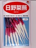 日野菜蕪 タキイのカブの固定種です (グリーンデポ)