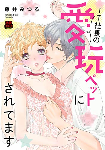 IT社長の愛玩ペットに