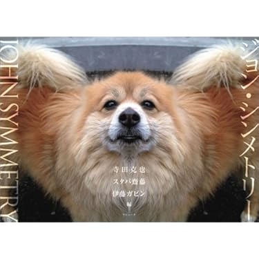 ジョン・シンメトリ- | 寺田 克也, スタパ 齋藤, 伊藤 ガビン