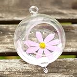 Kicode ラウンドハンギング ガラスの花瓶 フック付き ホームや結婚式のために