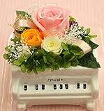 プリザーブドフラワー グランドピアノ白の陶器にアレンジ【クリアケース付】 長持ちする花クロスリースタイル