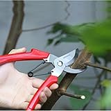 Carejoy　剪定鋏 園芸用はさみ　ホームガーデンカッター　花 果樹 庭木 盆栽 剪定道具 植木 ステンレス製　本職園芸専用 生け花 はさみ チール刃 軽量　植木のお手入れ 剪定ハサミ 安全ロック付