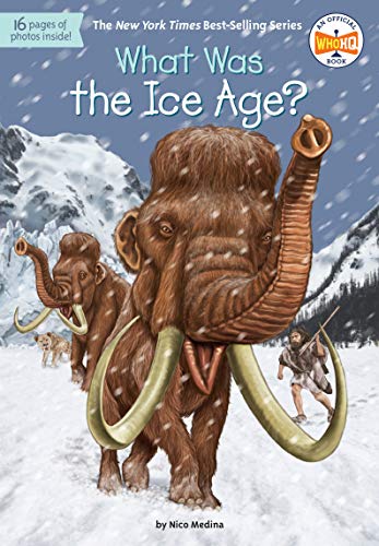 What Was the Ice Age? (What Was?) What Was the Ice Age? (What Was?)