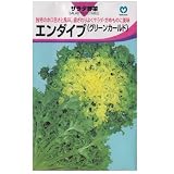 在来固定種　野菜の種「エンダイブ〔グリーンカールド〕」1ml約300粒 畑懐〔はふう〕