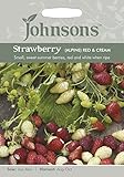 【輸入種子】 Johnsons Seeds Strawberry (Alpine) Red & Cream ストロベリー・レッド＆クリーム ジョンソンズシード