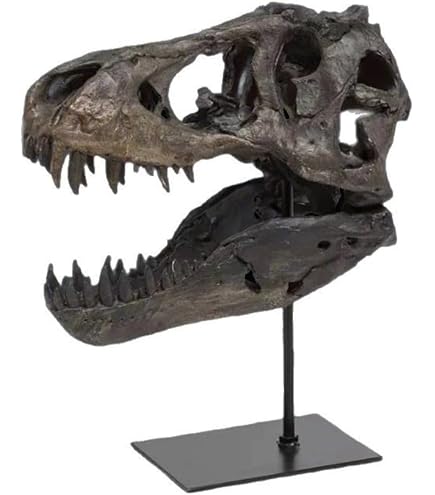 ディラフォサウルス　ディロボサウルス　トリケラトプス　スカル　恐竜の頭骨 Amazon.co.jp: スケルトンティーチングモデル用のディロフォサウルス