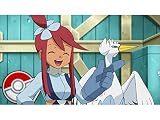 フキヨセジムのエアバトル! 挑戦者デント!?