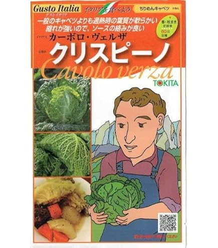 Amazon.co.jp: トキタ種苗 コマツナ 真夏の四番打者のタネ : DIY・工具