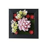 農家のスタイルの人工植物装飾品の壁の装飾、赤い多肉植物